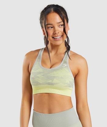 Gymshark Adapt Ombre Seamless Ženske Sportski Grudnjak Sive Smeđe Sive | HR 3337GSO